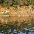 DSC05704
